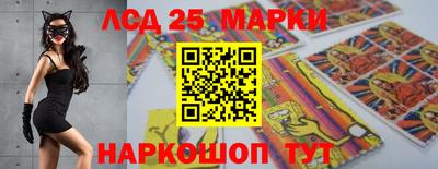 индика Ирбит