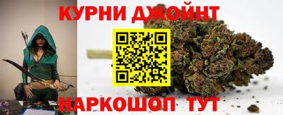 индика Ирбит