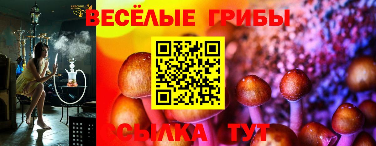 Псилоцибиновые грибы мицелий  Псилоцибиновые грибы Cubensis  Красноярск  Вход с VPN 